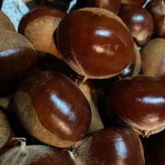 無農薬・上州産利平栗④１．２ｋｇ・渋皮煮・甘露煮のサムネイル