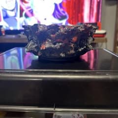 GOAT RED GODZILLA M 浅鉢
