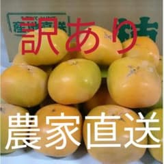 たねなし柿32～40個入サイズ2L ～Mのサムネイル