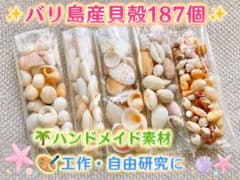 バリ島産貝殻187個】お気に入りコレクション タカラガイ・巻貝セット