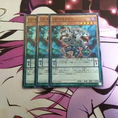 遊戯王 DDオルトロス 3枚セットのサムネイル
