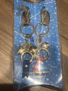 東京ディズニーリゾート 35周年 ペアキーチェーンのサムネイル