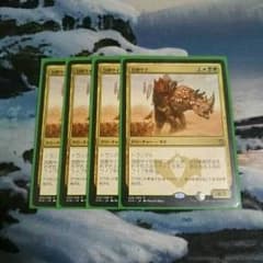 MTG 包囲サイ 日本語版 4枚セットのサムネイル