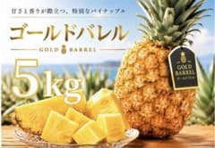 数量限定】石垣島産ゴールドバレル5kg (サイズ/個数おまかせ) - メルカリ
