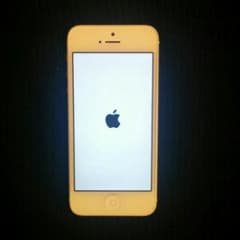 iPhone5 (64GB) Softbankのサムネイル