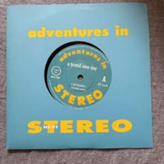 adventures in STEREO a brand new day 7”のサムネイル