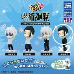 이쪽을 벗고 fig 여름 기름 걸 2개 세트