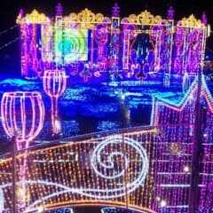 山口大輝さん、専用のサムネイル