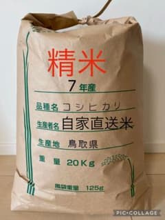 《20キロ玄米を精米して減量》米農家直送米　18kg 鳥取県産コシヒカリのサムネイル