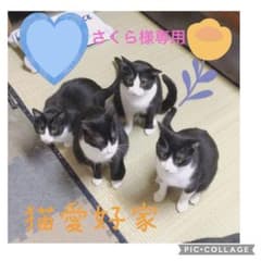 ☆さくら様専用☆のサムネイル