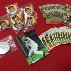 ソフトバンク 武田選手 セットのサムネイル