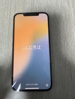 Apple iPhone 12Pro MAXのサムネイル