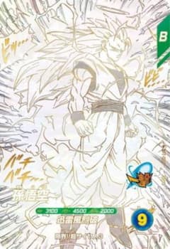 も*ょ様 出*口様 ドラゴンボールスーパーダイバーズ GDR APT-006 孫