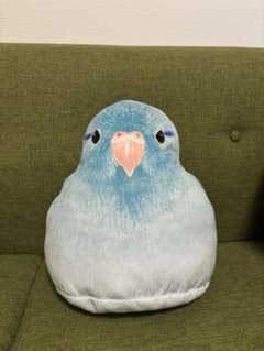 インコクッションのサムネイル