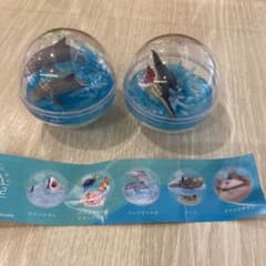 海洋生物2ガチャ　サメとイルカセットのサムネイル