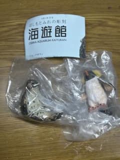 【2点セット】海遊館　ガチャ　ワモンアザラシ　ミナミイワトビペンギンのサムネイル