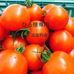 ひろ様専用。のサムネイル