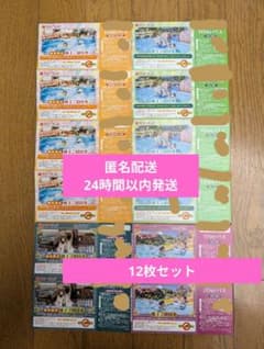 東京サマーランド 招待券 1Dayパス 9枚 東京サマーランド 株主ご招待券 1Dayパス 12枚セット - メルカリ