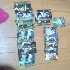 野球選手かーどのサムネイル