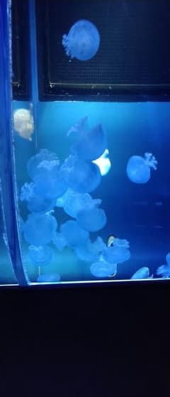 もくもくちゃんのサムネイル