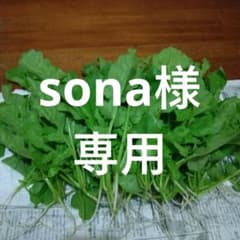 sona様専用　大根の間引き菜80サイズ いっぱい！のサムネイル