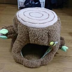 プーさんのペットの小屋です！のサムネイル