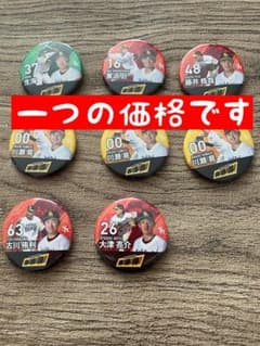 【mak-ing様専用】　　　生海選手缶バッジのサムネイル