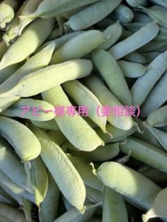 うすい豆7〜10キロのサムネイル