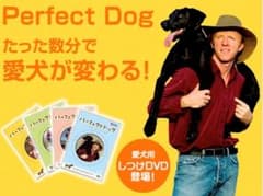 ★新品同様★パーフェクトドッグ★のサムネイル