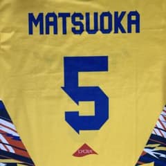 東レ アローズ 滋賀 松岡芽生選手 背番号 背ネーム入り レプリカ