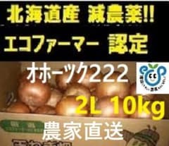 北海道産 玉ねぎ10kg 2Lサイズのサムネイル