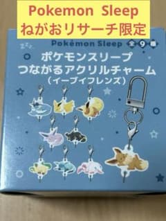 m*r様 アクリルチャーム　ポケモンスリープ　ねがおリサーチ　イーブイフレンズ ポケモンスリープ つながるアクリルチャーム（イーブイフレンズ