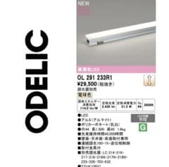 ODELIC OL 291 233R1 LED蛍光灯 ODELIC OL 291 233R1 LED蛍光灯 - メルカリ