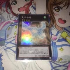 電光千鳥のサムネイル