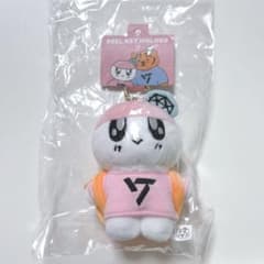 Seventeen セブチ ボンボンイ ぬいぐるみ キーリング 新品未開封