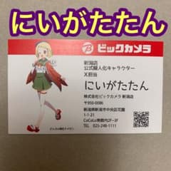 ビックカメラ　にいがたたん　名刺　新潟店　ビッカメ娘　お散歩バージョン