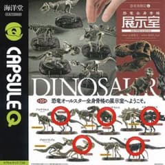 恐竜全身骨格展示室 化石カラー ５種のサムネイル