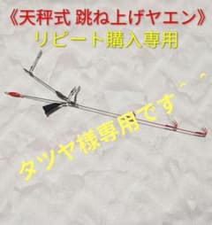 跳ね上げヤエン タツヤ様専用のサムネイル