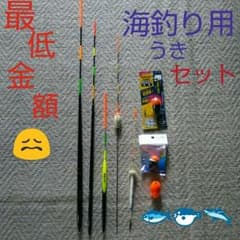 海釣り用うきセット（バラ売り不可）のサムネイル