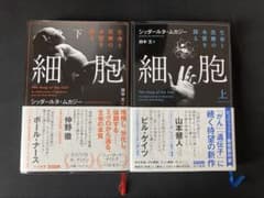 細胞 上下巻セットのサムネイル