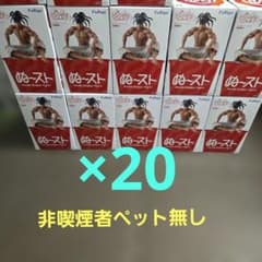 꽃의 게이지 ぬどる 스토퍼 피규어 마에다 케이지 20체 세트