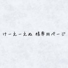けーえーえぬ 様専用ページのサムネイル