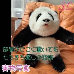 【日本初発売・試売価格・希少】超リアル パンダ ぬいぐるみ　シリコン製肉球 日本初発売・試売価格・希少】超リアル パンダ ぬいぐるみ シリコン製