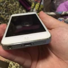 iPhoneのサムネイル