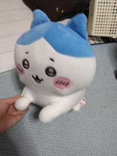 ちいかわ ハチワレのサムネイル