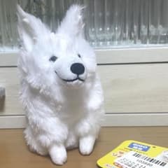 サモエドりんたろう LMC ぬいぐるみ GiGO限定 キーホルダー