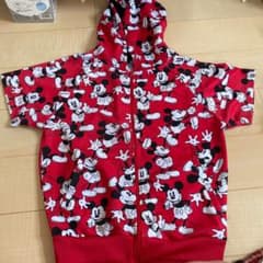 ディズニーパーカーのサムネイル