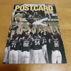 ソフトバンクホークス ポストカードブックのサムネイル