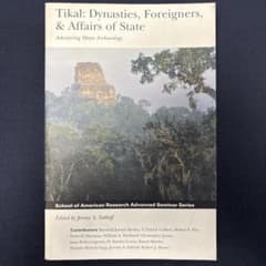 Tikal Dynasties 洋書 マヤ文明 ティカル 考古学 学術書のサムネイル
