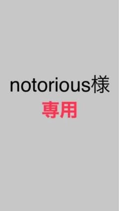 NORTH FACE ノースフェイス マウンテンジャケットのサムネイル